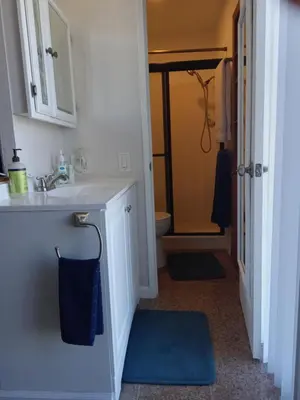 a bathroom with a sink and a toilet and a blue rug at Master SUITE STEPS TO BAY & BEACH in San Diego