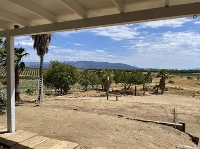 a porch with a view of a desert with a palm tree at Temecula Rejuvenation in Temecula