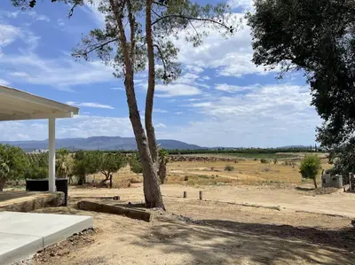 a tree next to a building with a view of a field at Temecula Rejuvenation in Temecula