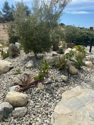 a rock garden with a tree and some plants at Hidden Hacienda in Temecula