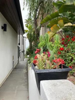 a planter with flowers and plants on a wall at Smashing Newly-Built with Ocean/Bay/City Views! in San Diego