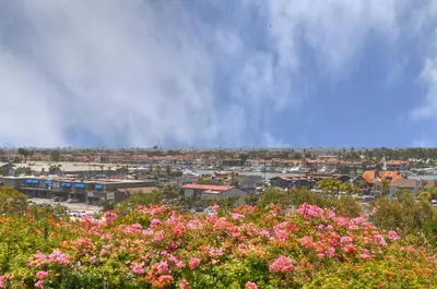 a view of a city with flowers in the foreground at 1002 E Oceanfront in Newport Beach
