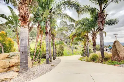 a path lined with palm trees in a park at Mountaintop Ramona Home Private Pool, Near Lake! in Ramona